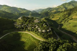 Garrya-Mu-Cang-Chai_1