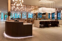 Hilton-Jacksonville-Mayo-Clinic_3
