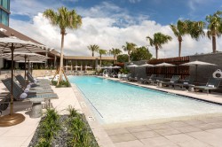 Hilton-Jacksonville-Mayo-Clinic_4